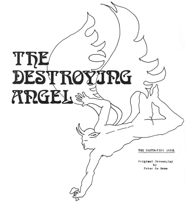 The Destroying Angel art