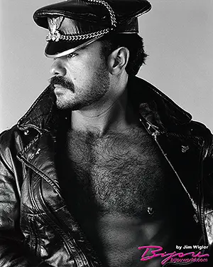 Michael P. gay poster by Jim Wigler