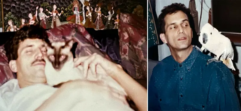 Polaroids of Tommy with his cat and his cockatoo