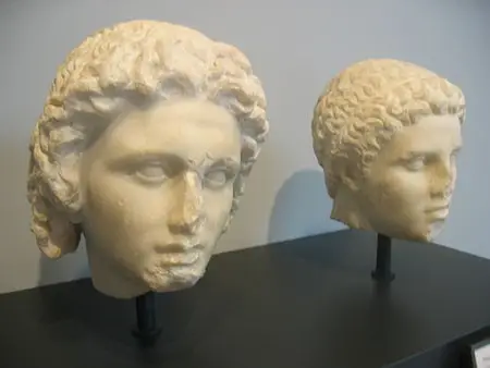 Alexander the Gay