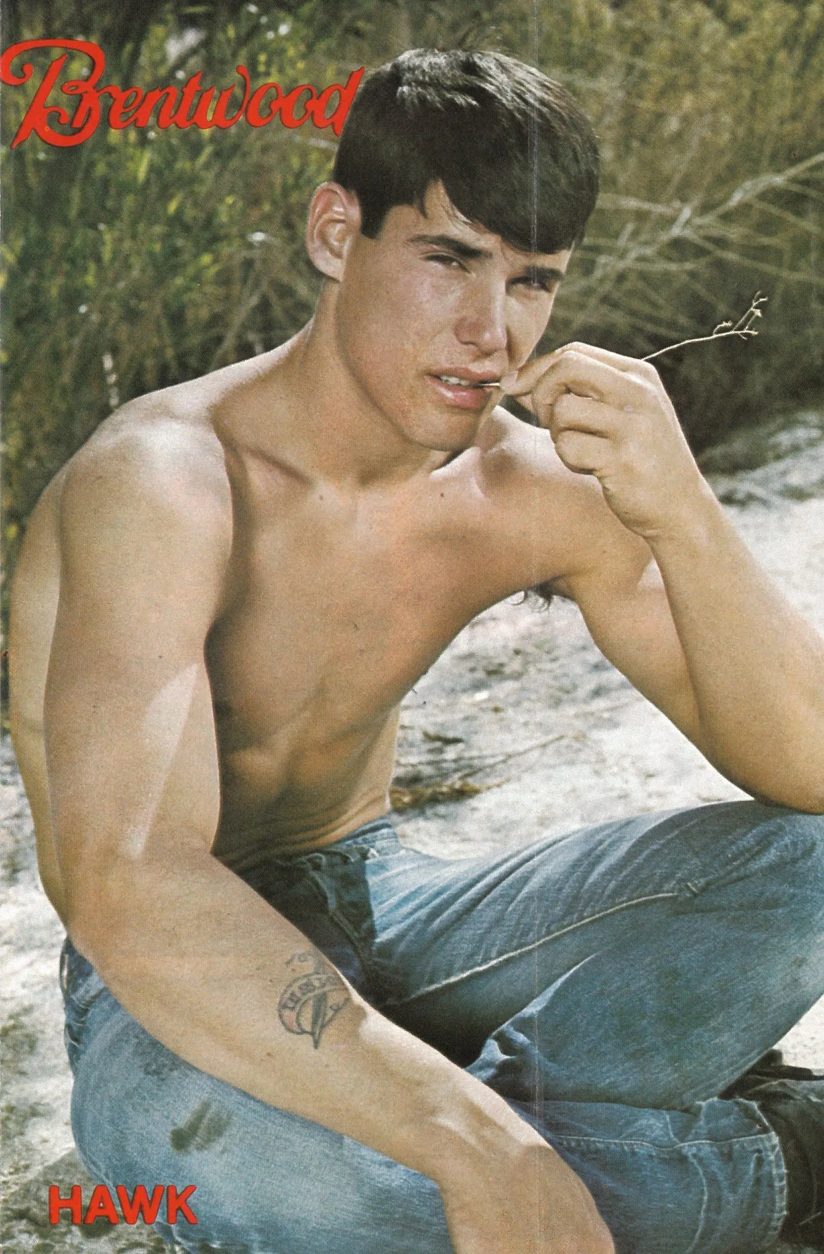 Brentwood June 1976 Small Town Boy, Vintage Gay Mail-Order Porn Brochure