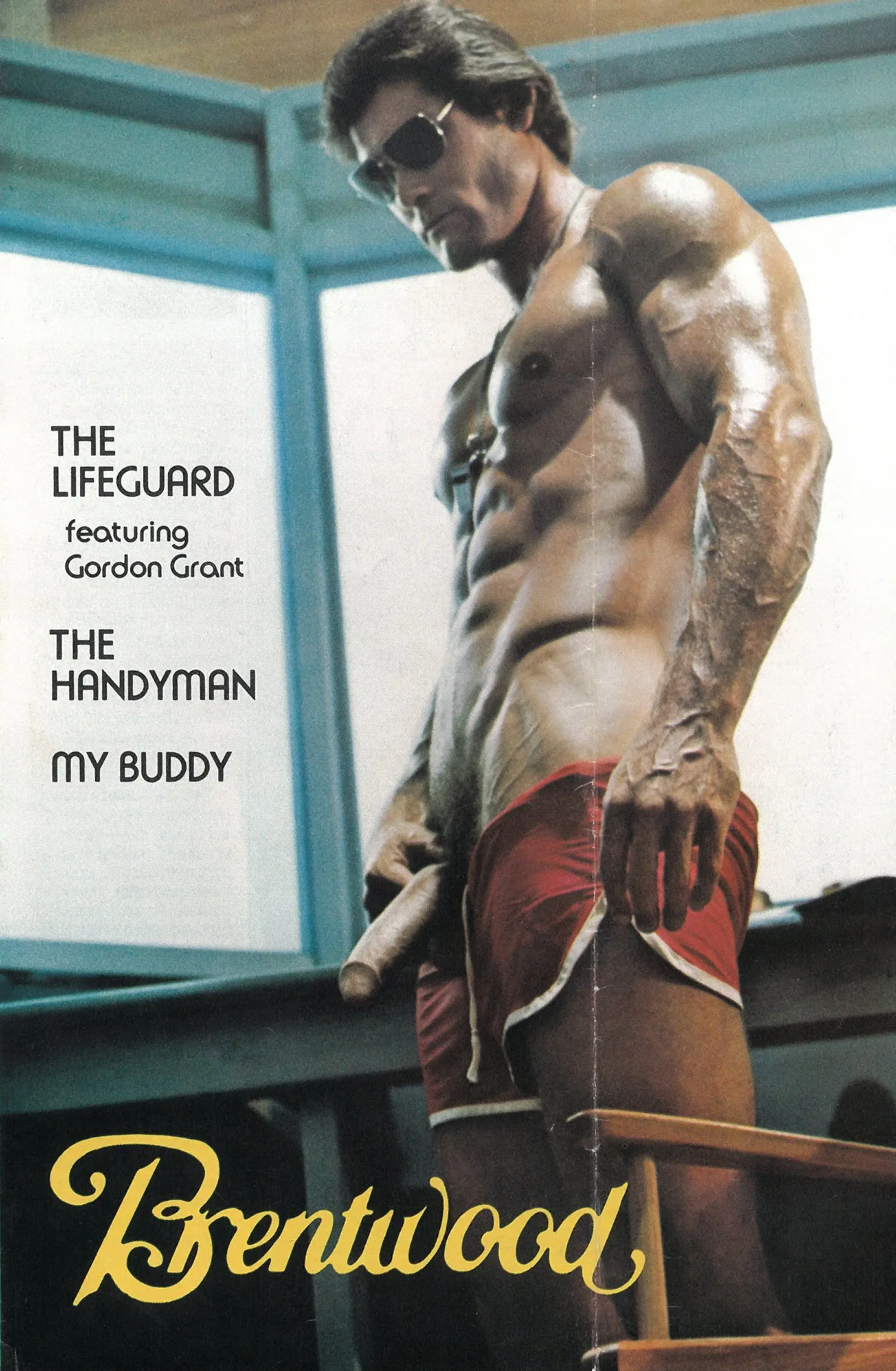 Brentwood "The Lifeguard" Vintage Gay Porn Sex Brochure
